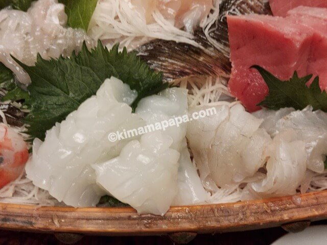 福井県美浜町の入舟、夕食のイカのお刺身