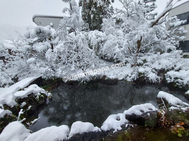福井県大野市の扇屋、北側のお庭