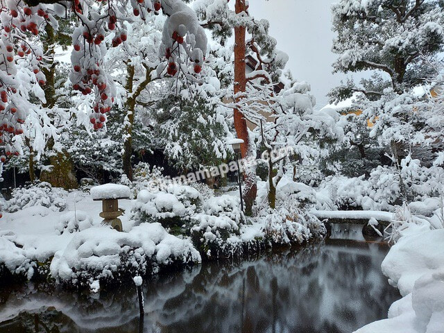 福井県大野市の扇屋、南側のお庭