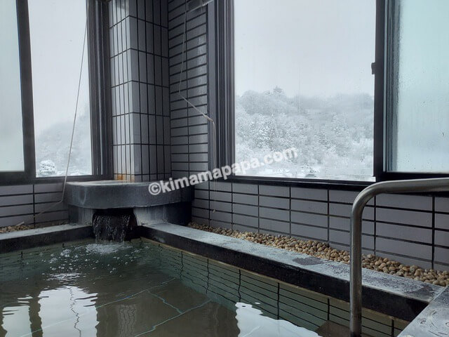 福井県大野市の扇屋、大浴場から見た雪の大野城