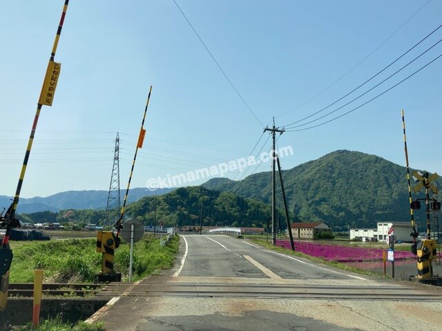 大野市、寿楽山への道