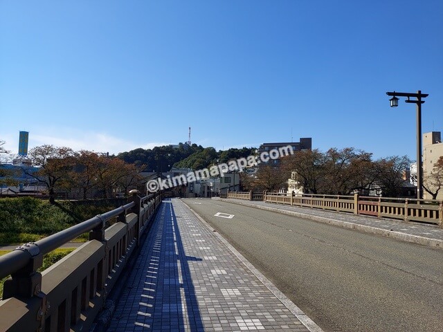 福井市の桜橋