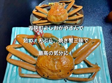 福井県若狭町のよしおかや、夕食のズワイ蟹