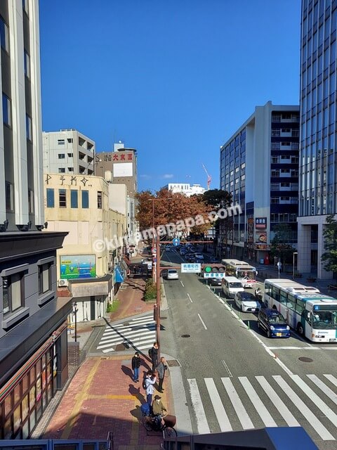 福岡県福岡市の国道202号線、キャナルシティに向かう歩道橋から見た大東園本店
