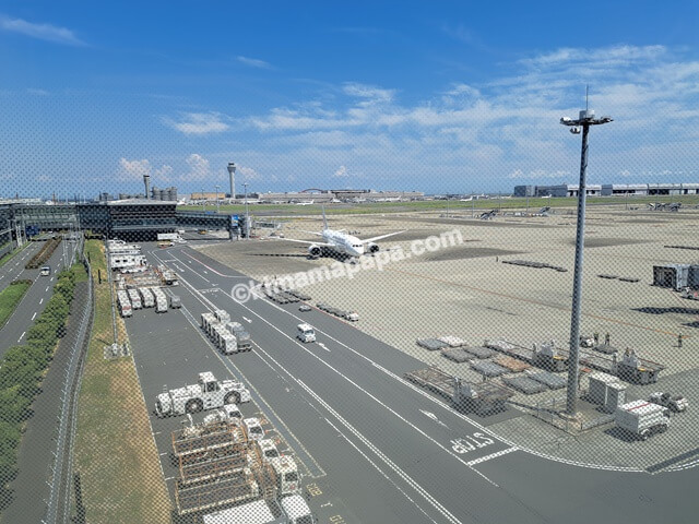 羽田第3ターミナルの4階JALサクララウンジ、空港ビュー