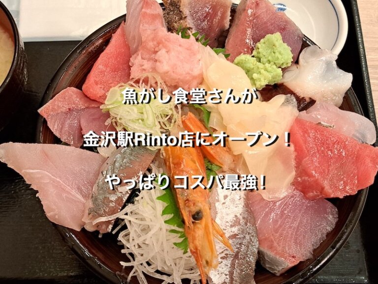 石川県金沢市、魚がし食堂金沢駅Rinto店の海鮮ちらし