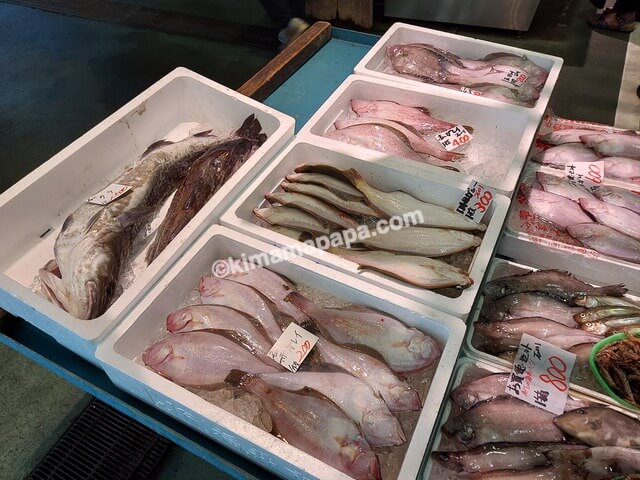 石川県金沢市の金沢港いきいき魚市、新田商店のお魚