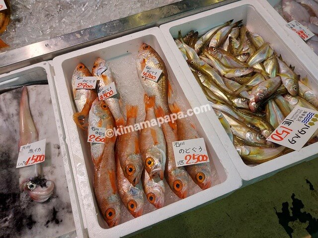 石川県金沢市の金沢港いきいき魚市、新田商店のお魚