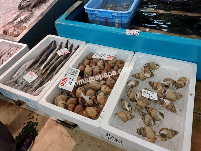 石川県金沢市の金沢港いきいき魚市、新田商店の貝