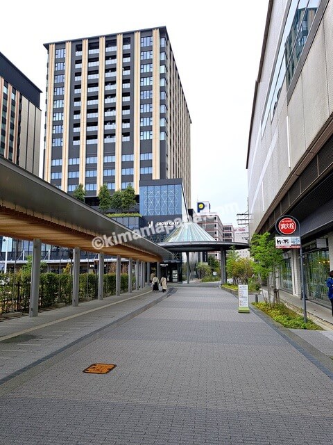 石川県金沢市、八百屋のParlor Horita 205前の歩道
