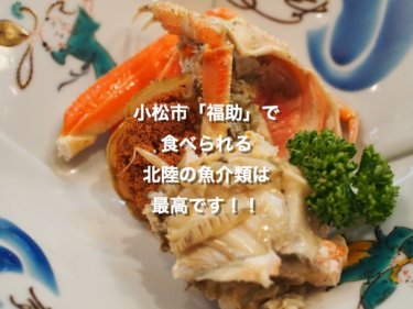小松市「福助」さんで食べられる北陸の魚介類は最高です！！