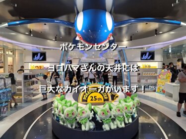 ポケモンセンターヨコハマさんの天井には、巨大なカイオーガがいます！
