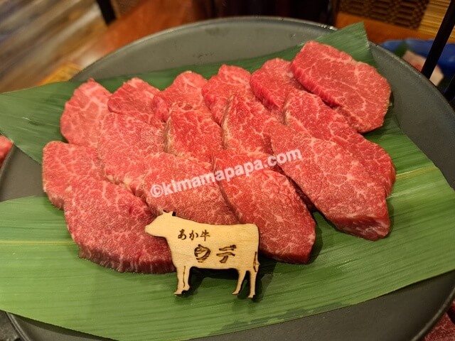 熊本県阿蘇市のあそ兵衛、夕食のあか牛ウデ