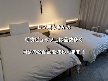 熊本県熊本市のレフ熊本、モデレートルームルームのベッド