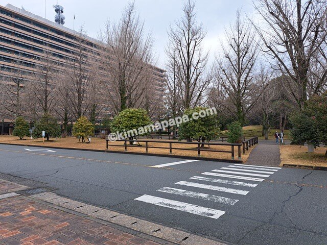 熊本県熊本市の県庁、駐車場からモンキー･D･ルフィ像への道