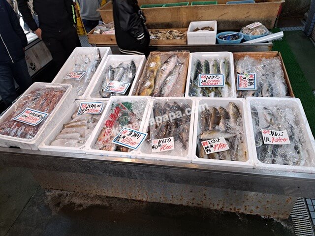 熊本県宇土市、道の駅宇土マリーナの鮮魚