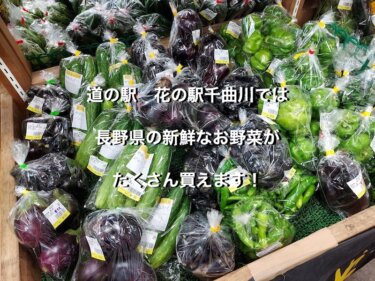 道の駅花の駅千曲川では、長野県の新鮮なお野菜がたくさん買えます！