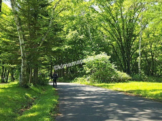 長野県戸隠、戸隠キャンプ場内の道路