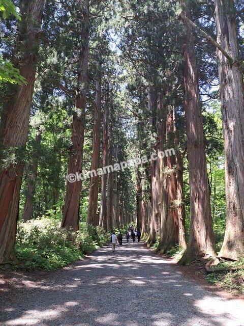 長野県長野市戸隠、戸隠神社奥社の参道