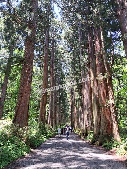 長野県長野市戸隠、戸隠神社奥社の参道