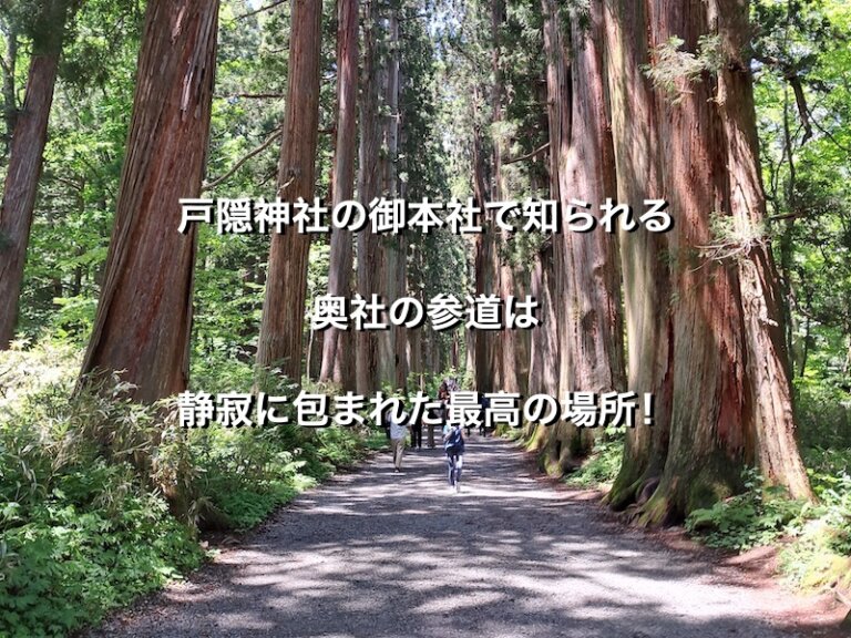 長野県長野市戸隠、戸隠神社奥社の参道