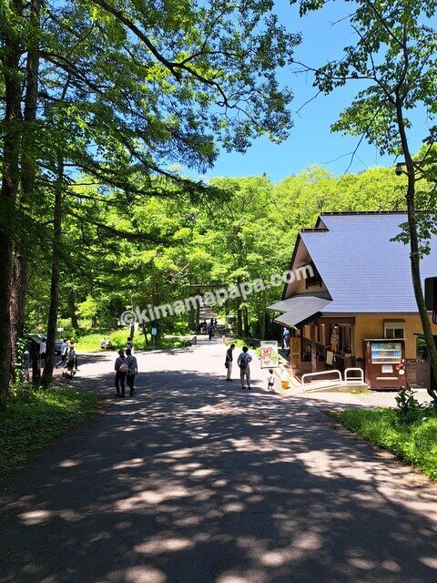 長野県長野市戸隠、戸隠神社奥社への参道