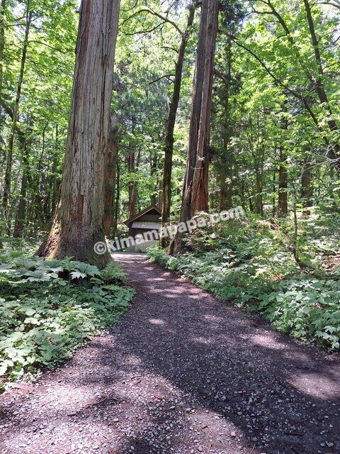 長野県長野市戸隠、戸隠神社奥社の参道のお手洗い