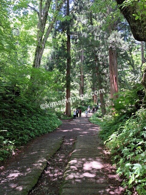 長野県長野市戸隠、戸隠神社奥社の参道