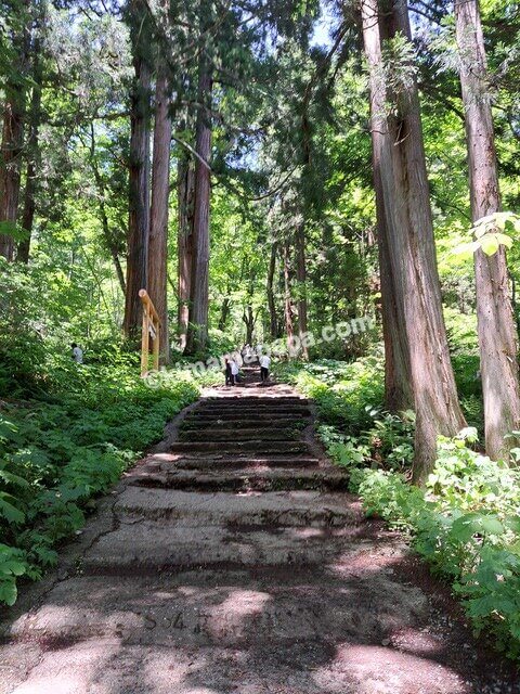 長野県長野市戸隠、戸隠神社奥社の参道