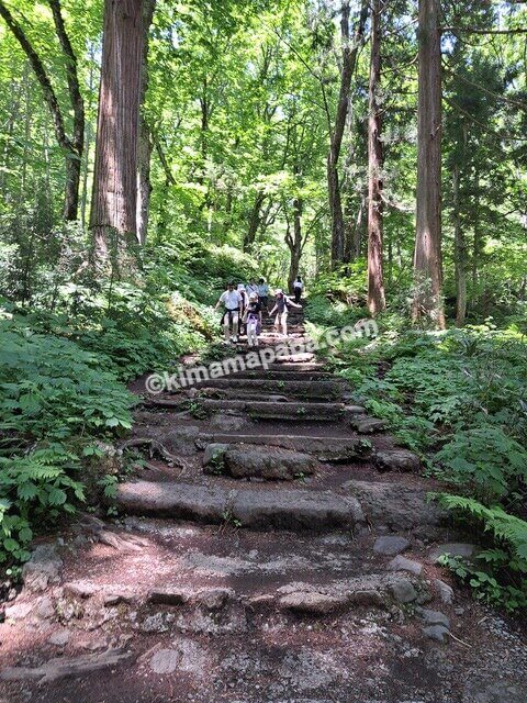 長野県長野市戸隠、戸隠神社奥社の参道