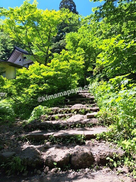 長野県長野市戸隠、戸隠神社奥社の参道