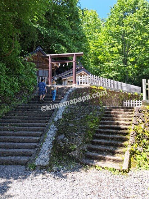 長野県長野市戸隠、戸隠神社奥社の参道