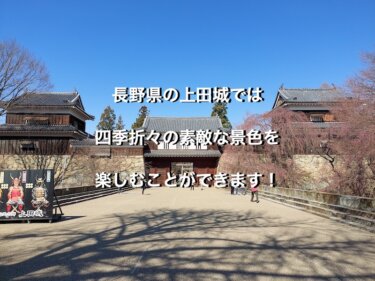 長野県の上田城では、四季折々の素敵な景色を楽しむことができます！