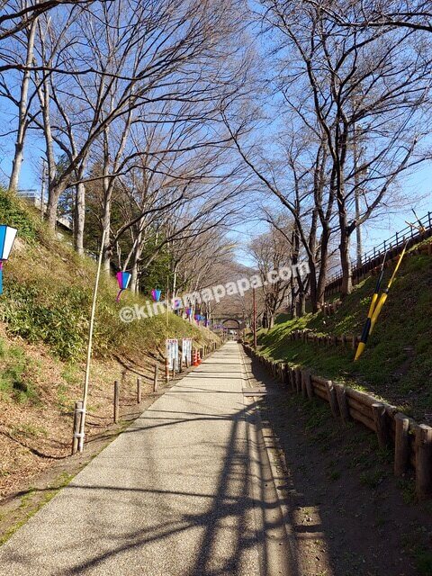 長野県上田市、上田城のけやき並木遊歩道