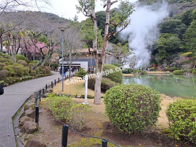 大分県別府市の海地獄、蓮の池