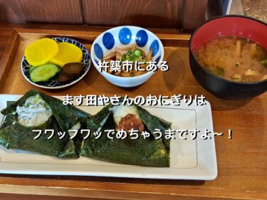 大分県杵築市、ます田や