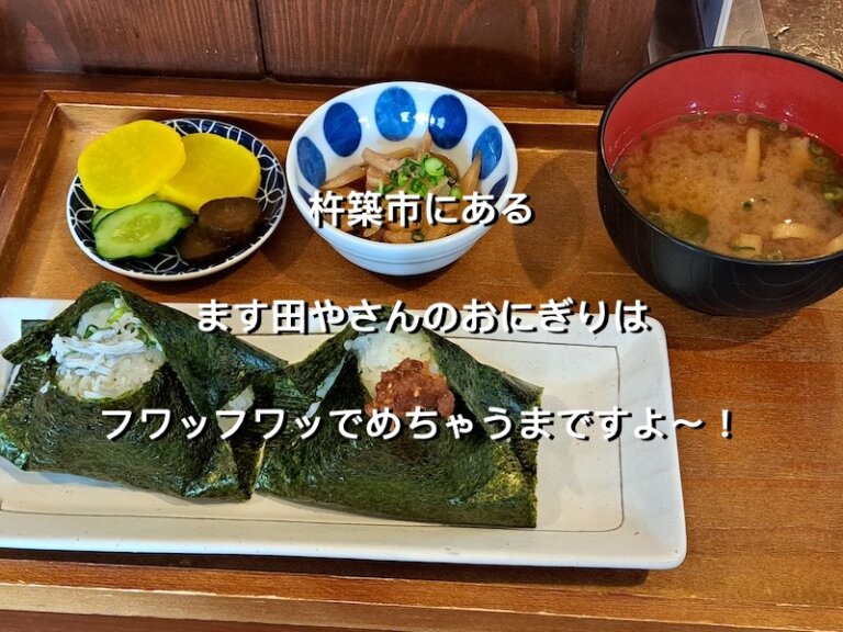 大分県杵築市、ます田や