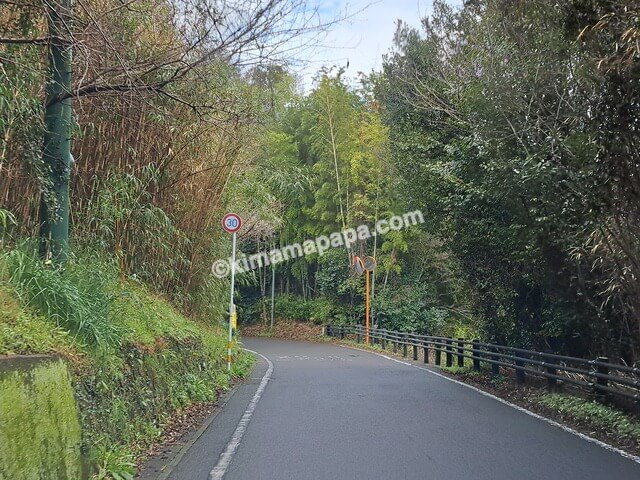 大分県杵築市、道路