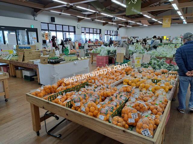 大分県中津市、道の駅なかつ