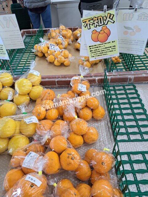 大分県中津市、道の駅なかつ