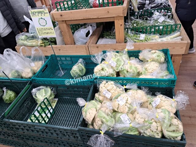 大分県中津市、道の駅なかつ