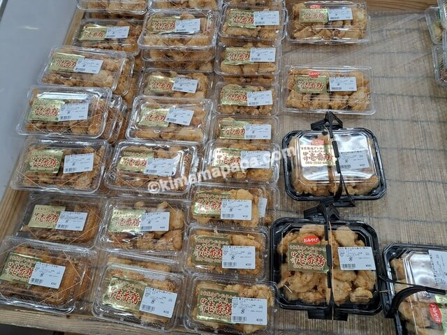 大分県中津市、道の駅なかつ