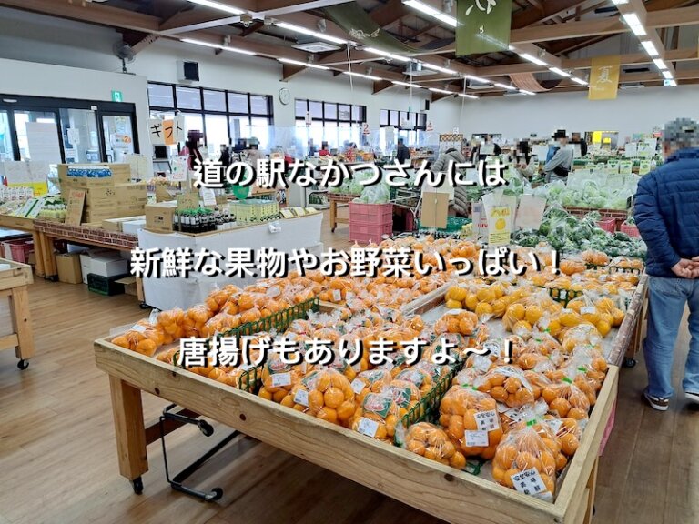 大分県中津市、道の駅なかつ
