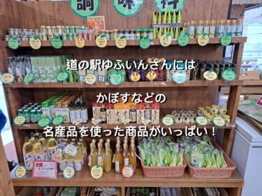 大分県湯布院町、道の駅ゆふいん
